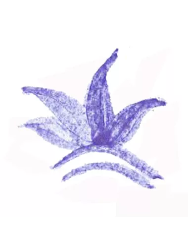 Colorant poudre Bleu Ciel P11 pour céramique