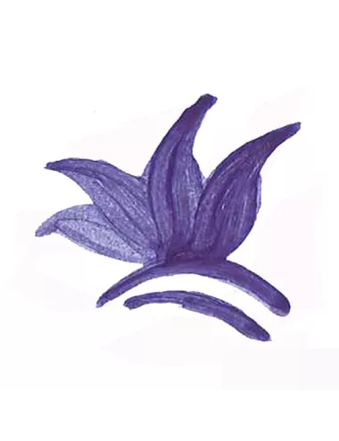 Colorant poudre Bleu Cobalt P45 pour céramique