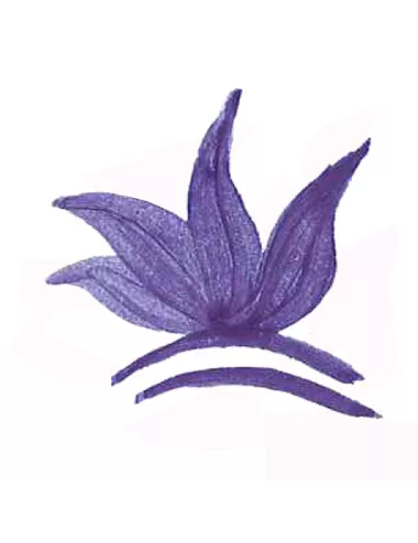 Colorant poudre Masse Bleu Cobalt P19 pour céramique