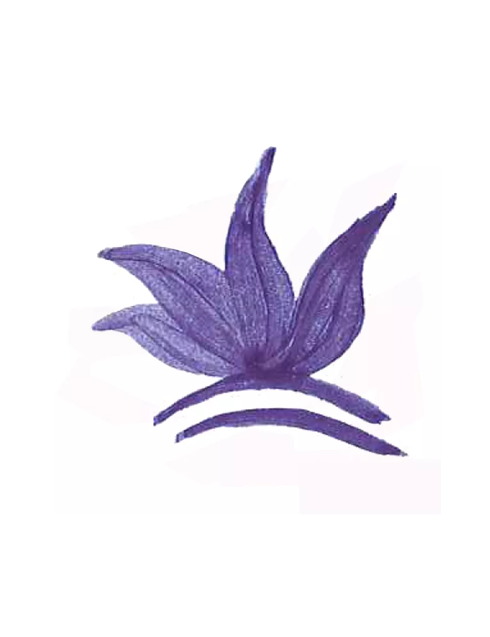 COLORANT POUDRE MASSE BLEU COBALT P19