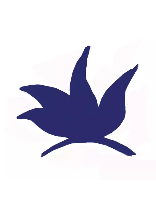 COLORANT POUDRE BLEU DE FRANCE P04