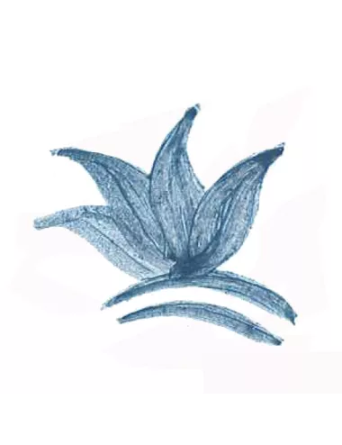 Colorant poudre Bleu Gris P188 pour céramique