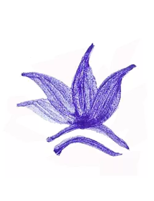 COLORANT POUDRE MASSE BLEU LAVANDE P12