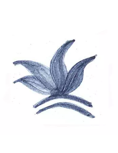 Colorant poudre Bleu Pétrole P201 pour céramique