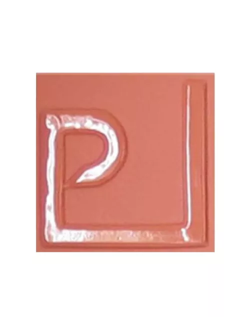 ENGOBE FAÏENCE LIQUIDE SANS PLOMB SAUMON 1KG ENSP20LL