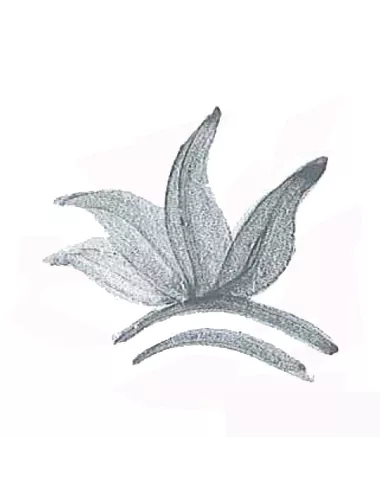 Colorant poudre Gris Vert P218 pour céramique
