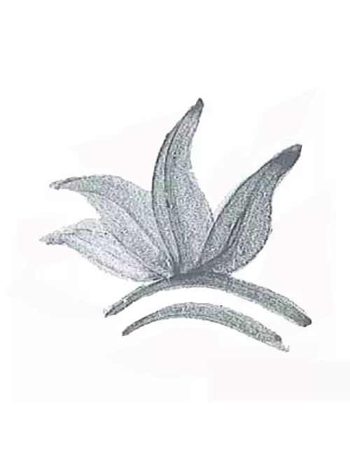 COLORANT POUDRE GRIS VERT P218