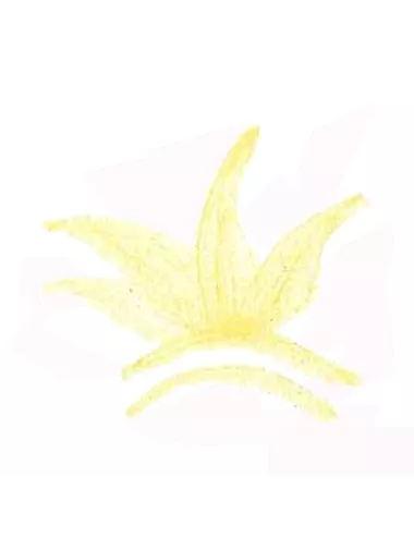 Colorant poudre Jaune P125 pour céramique