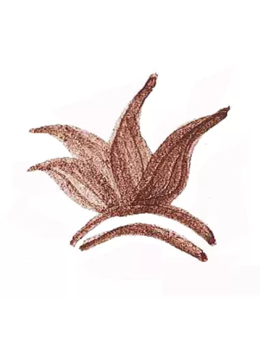 Colorant poudre Marron P142 pour céramique