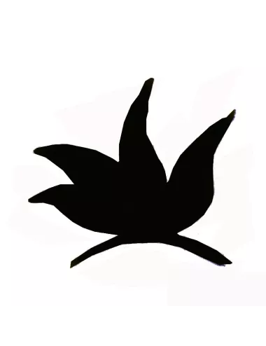Colorant poudre noir P607 pour céramique