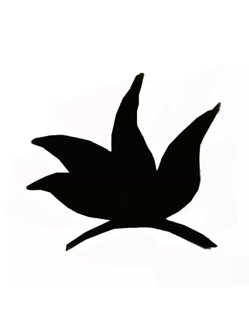 COLORANT POUDRE NOIR P607