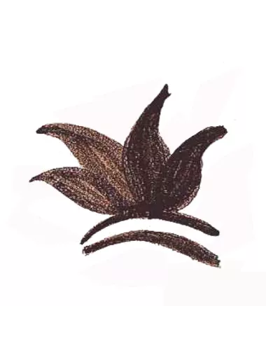 Colorant poudre Noir Brun Masse P120 pour céramique