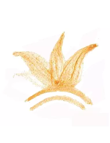 Colorant poudre ocre rose P62 pour céramique