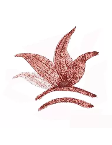 Colorant poudre Rouge Sang de Taureau P162 pour céramique