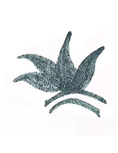 Colorant poudre vert P57 pour céramique