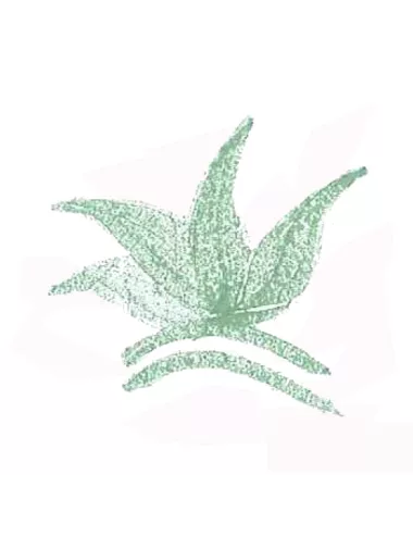 Colorant poudre Vert Océan P32 pour céramique