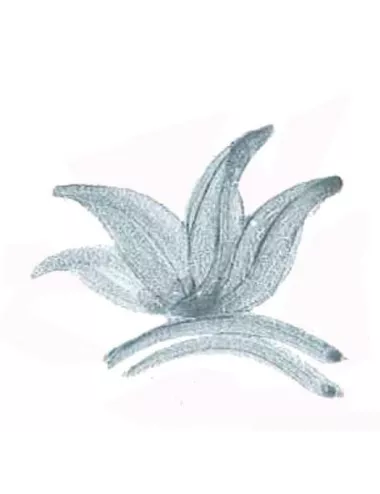 Colorant poudre Gris P35 pour céramique