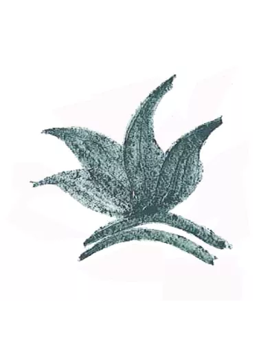 Colorant poudre Vert Foncé Masse P24 pour céramique