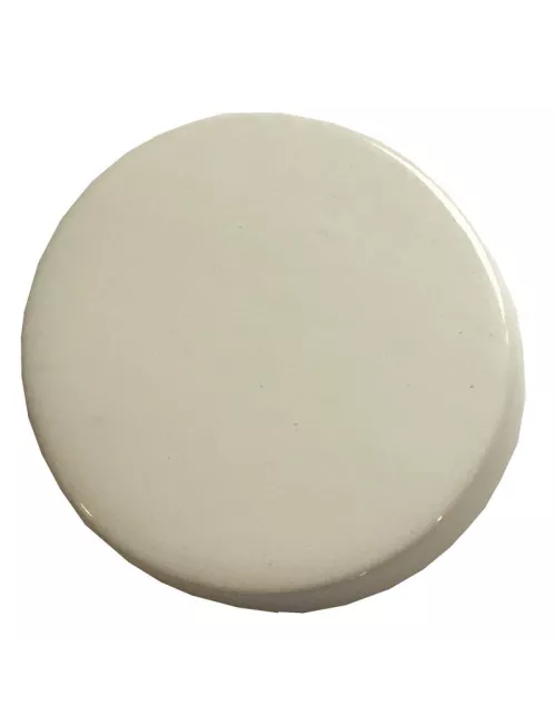ÉMAIL FAÏENCE LIQUIDE TRANSP. SS PLB BRILL. INCOLRE 1KG SOL01/021LL