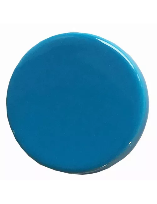 ÉMAIL FAÏENCE LIQUIDE TRANSP. SS PLB BRILL. BLEU CÉLESTE 1KG