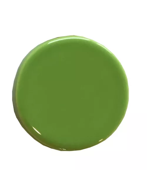 ÉMAIL LIQUIDE TRANSP. SS PLB BRILL. CITRON VERT 1KG SOL05/103LL