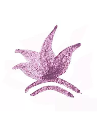 Colorant poudre Violet P137 pour céramique