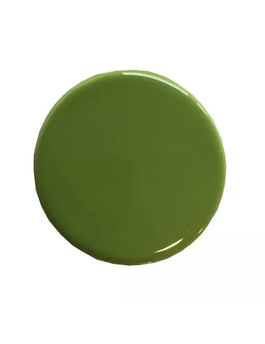 Émail faïence liquide Pistache sans plomb 1 kg SOL05/104LL | Solargil