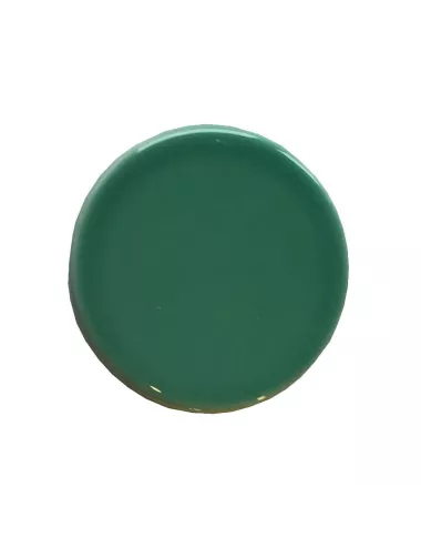 Émail faïence liquide Vert Forêt Clair sans plomb 1 kg SOL05/109LL | Solargil
