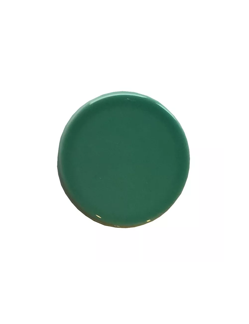 ÉMAIL LIQUIDE TRANSP SS PLB BRIL. VERT FORÊT CLAIR 1KG SOL05/109LL