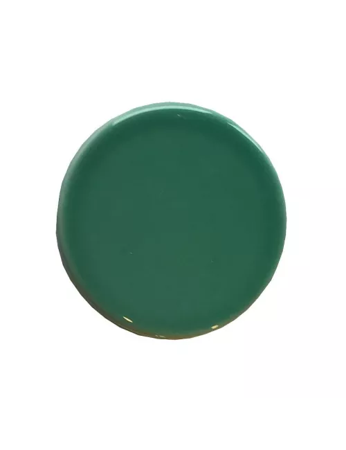 ÉMAIL LIQUIDE TRANSP SS PLB BRIL. VERT FORÊT CLAIR 1KG SOL05/109LL