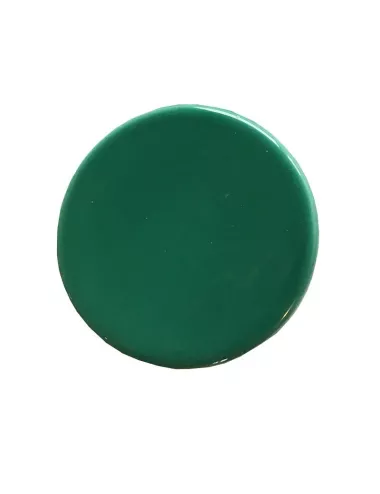 Émail faïence liquide sans plomb Vert Forêt 300 g SOL05/111 | Solargil