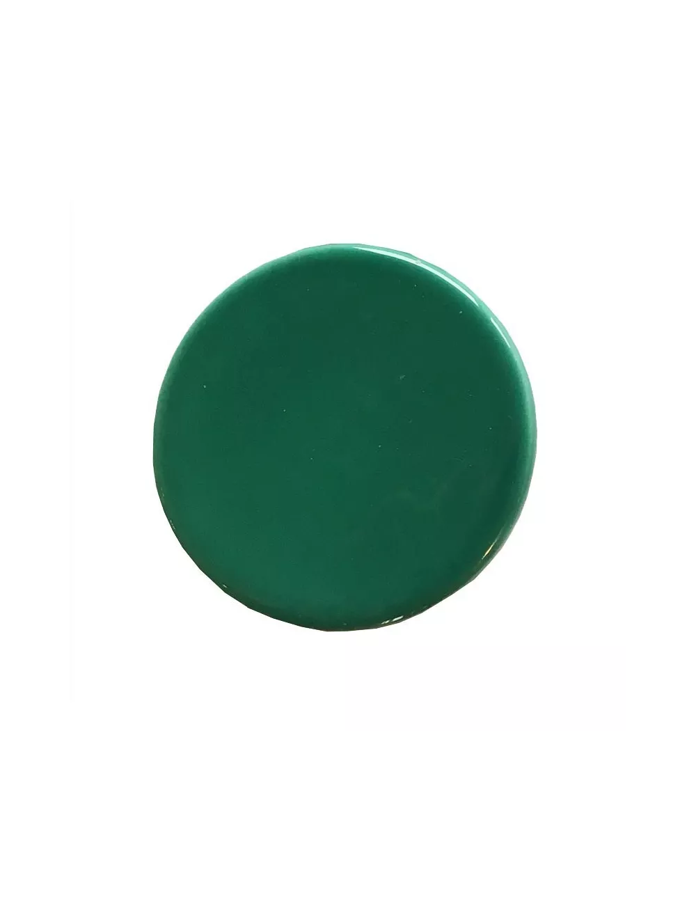ÉMAIL FAÏENCE LQD TRANSP. SS PLB BRILL. VERT FORÊT  300G SOL05/111
