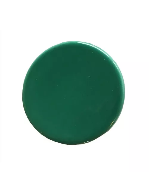 ÉMAIL FAÏENCE LQD TRANSP. SS PLB BRILL. VERT FORÊT  300G SOL05/111