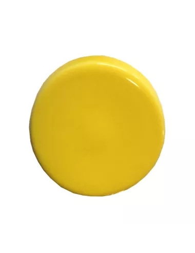 Émail faïence liquide sans plomb Jaune Soleil 1 kg SOL06/101LL | Solargil