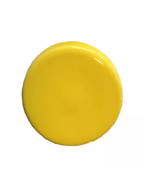 ÉMAIL LIQUIDE TRANSP. SS PLB BRILL. JAUNE SOLEIL 1KG SOL06/101LL