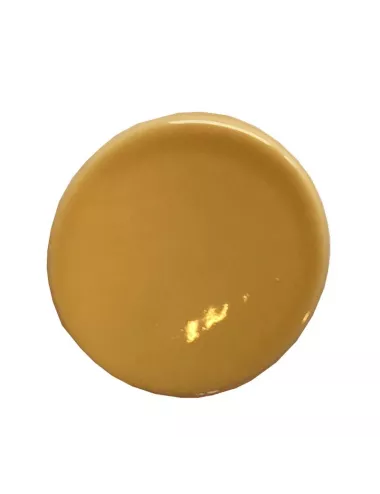 Émail faïence liquide sans plomb Beige 1 kg SOL09/113LL | Solargil