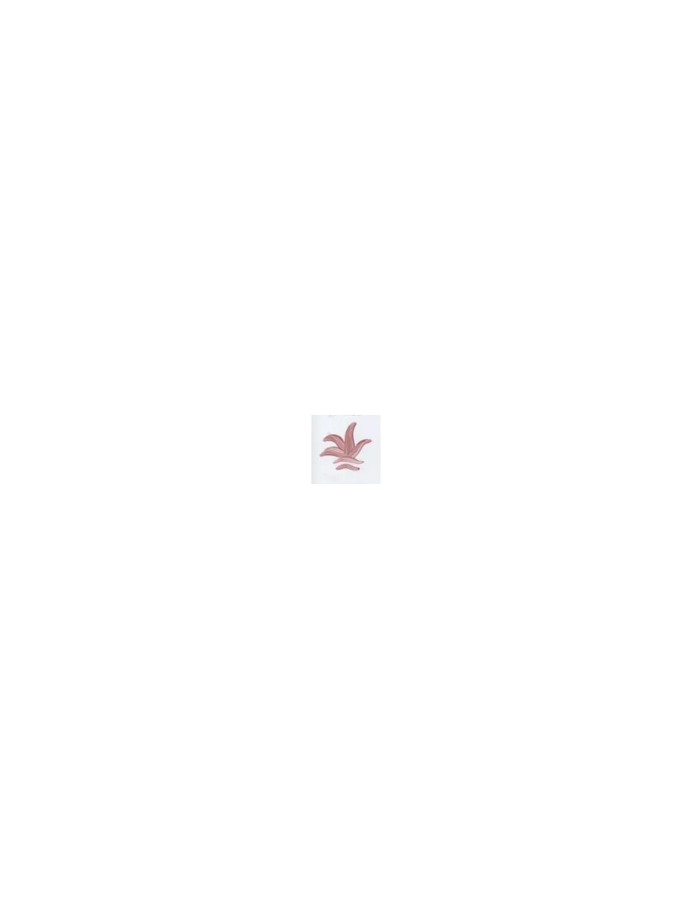 COULEUR VITTRIFIABLES DÉCOR ROSE VP3107