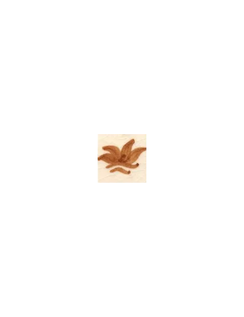COLORANT Série D BEIGE D03 (jusqu'à fin des stocks)