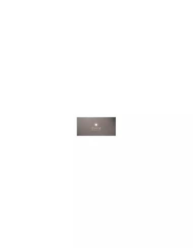 Estèque inox rectangulaire souple EST308S 100 x 50 mm fabrication française