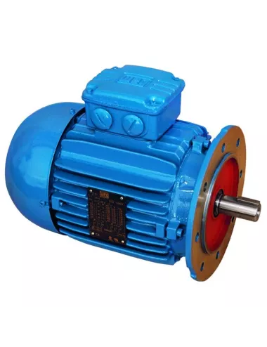 MOTEUR DE RECHANGE 1 CV EN 220 V POUR TOUR WEELY