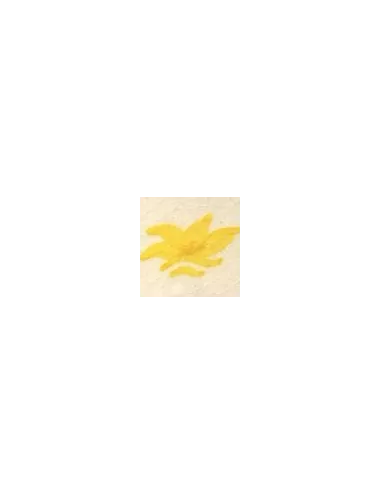 COLORANT Série D JAUNE SOLEIL D99 (jusqu'à fin des stocks)