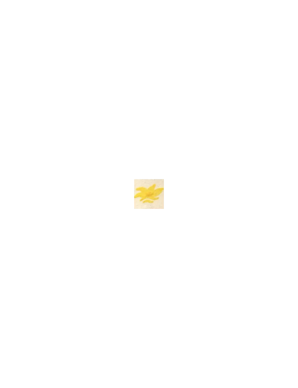 COLORANT Série D JAUNE SOLEIL D99 (jusqu'à fin des stocks)