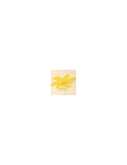 COLORANT Série D JAUNE SOLEIL D99 (jusqu'à fin des stocks)