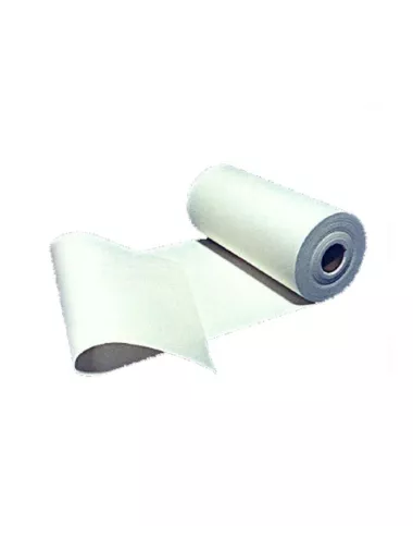 PAPIER CERAM. FAIBLE BIO RESISTANCE 1260°C 30000 X 1220 MM EP 2 MM