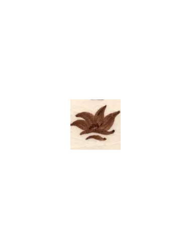 COLORANT Série D CHOCOLAT D05 (jusqu'à fin des stocks)