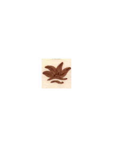COLORANT Série D MARRON ROUX D04 (jusqu'à fin des stocks)
