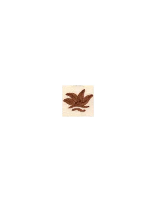 COLORANT Série D MARRON ROUX D04 (jusqu'à fin des stocks)