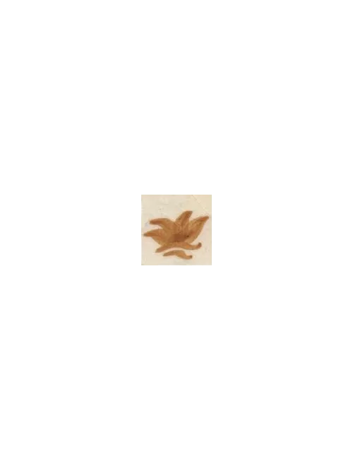 COLORANT Série D OCRE CUIVRE D72 (jusqu'à fin des stocks)