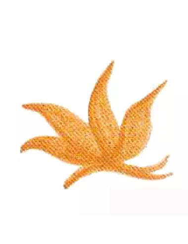 COLORANT Série D CORAIL D01 (jusqu'à fin des stocks)