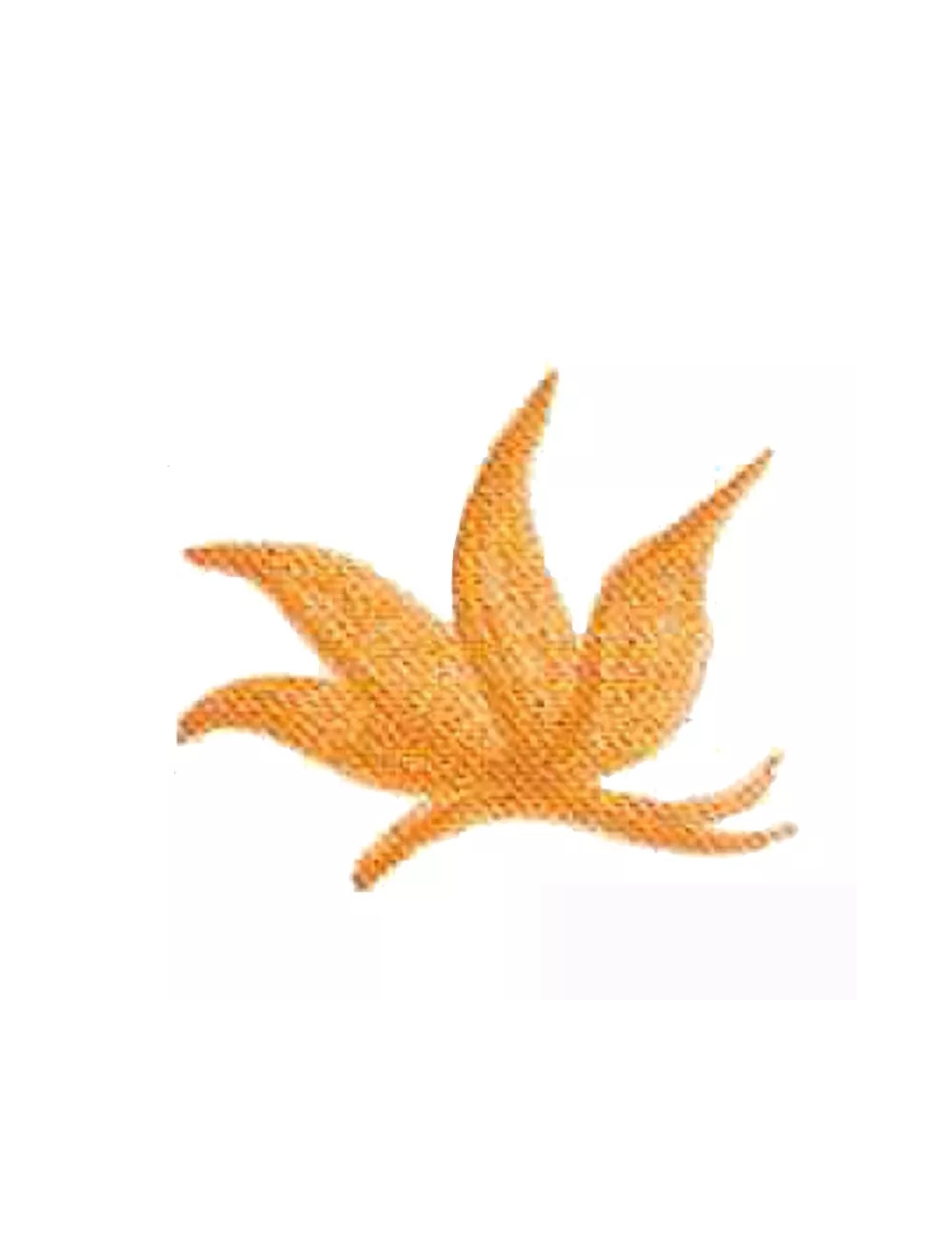 COLORANT Série D CORAIL D01 (jusqu'à fin des stocks)